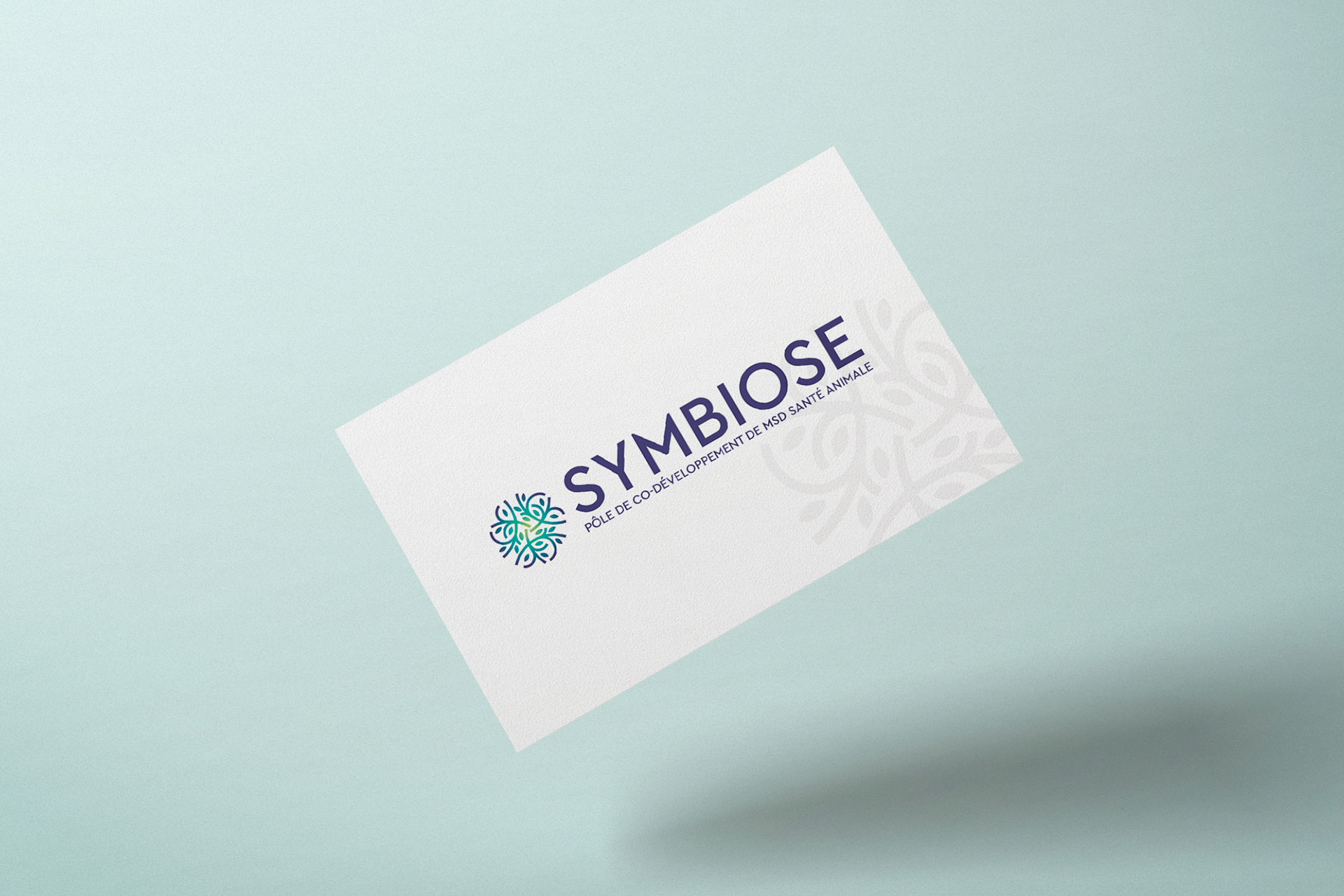 Carte de visite imprimée avec le logo Symbiose